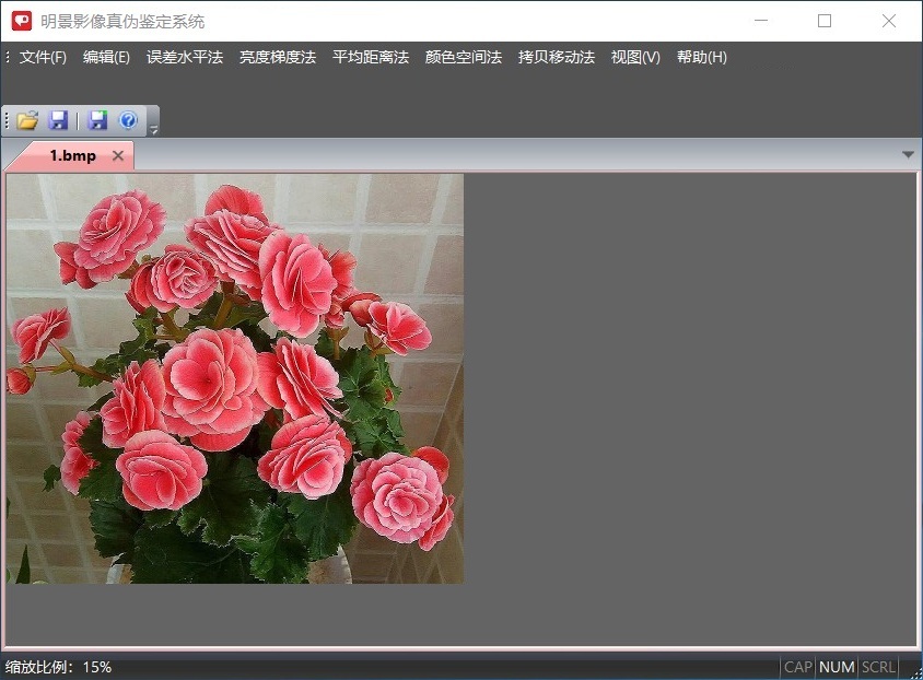 吉彩网影像真伪判断系统